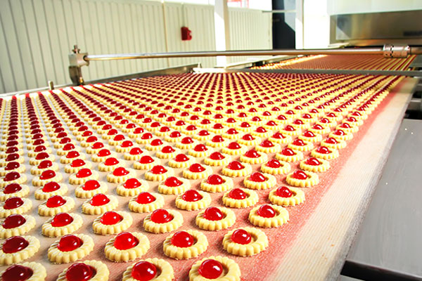 Food production line